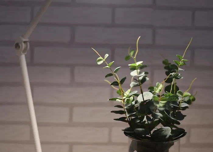 Near The -3bed -2bath -wifi * 라스팔마스